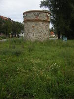 DSCF1928.jpg