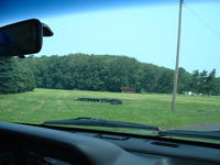 This is what remains of the playground, where a tire swing once won over my face.
