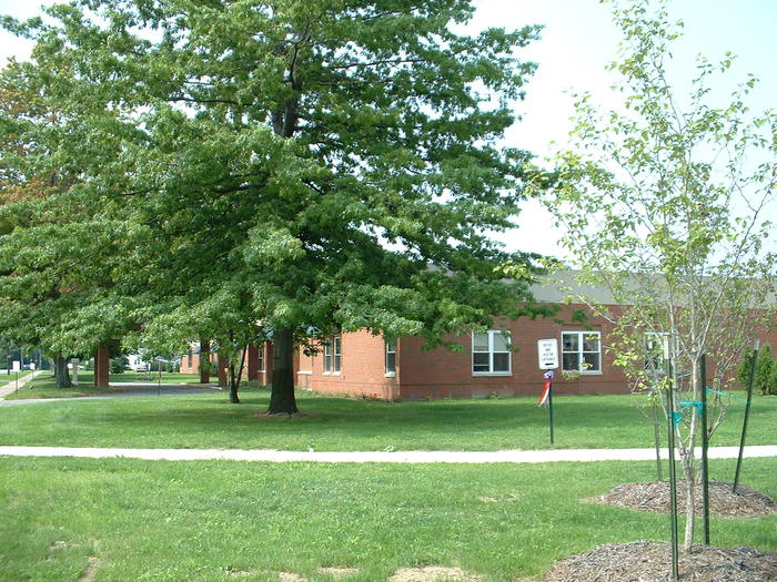 DSCF0031.jpg