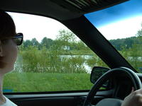 This is one of several ponds about two blocks from my old house