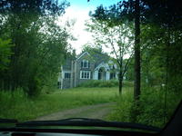 This dirt road used to lead back to another pond... I swear!
