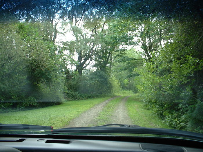 DSCF0041.jpg