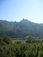 DSCF1942.jpg