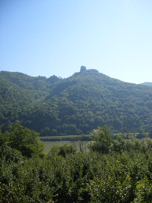DSCF1942.jpg