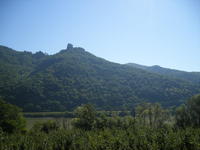 DSCF1943.jpg