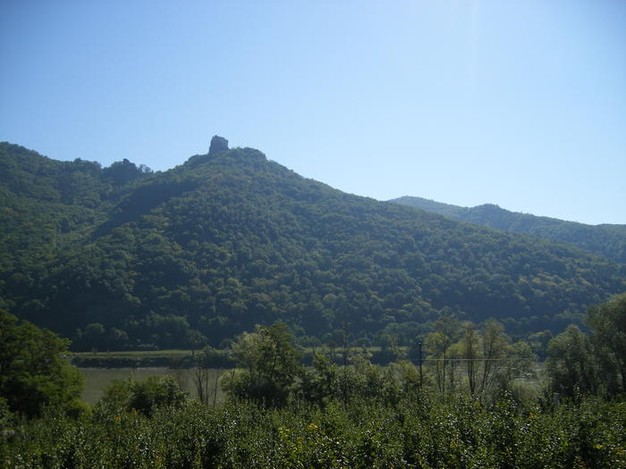 DSCF1943.jpg