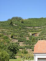 DSCF1955.jpg