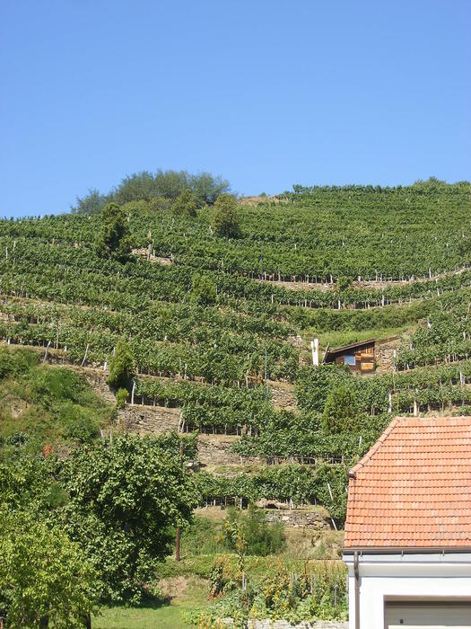 DSCF1955.jpg