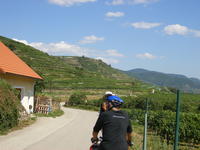 DSCF1964.jpg