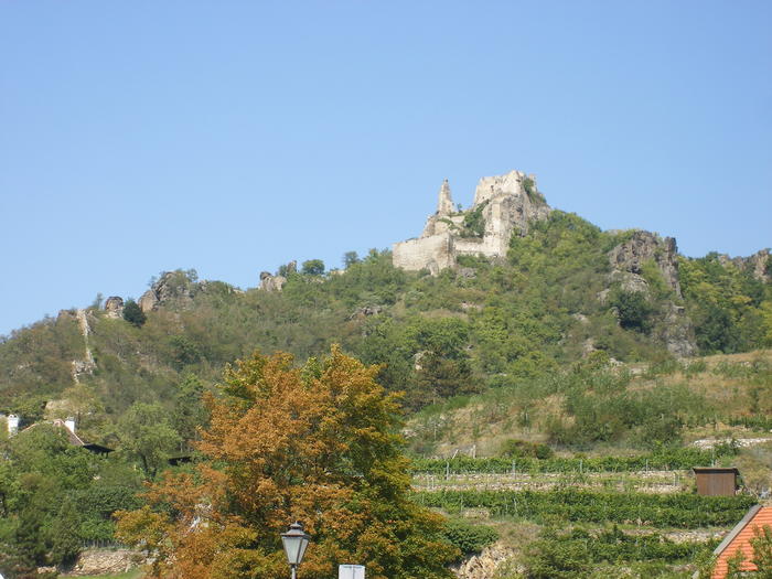 DSCF1973.jpg