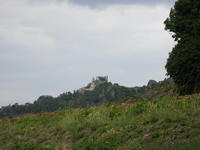 DSCF1976.jpg
