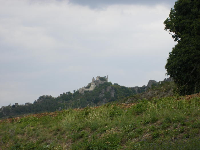 DSCF1976.jpg