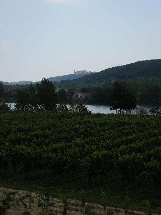 DSCF1977.jpg