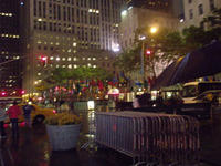 PA251678.JPG