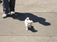 DSCF2021.jpg