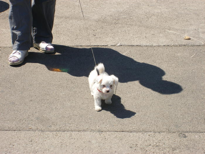 DSCF2021.jpg