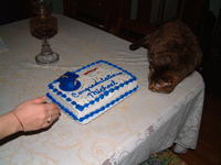 DSCF0621.jpg