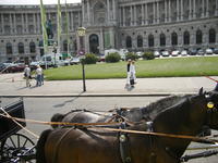DSCF2112.jpg