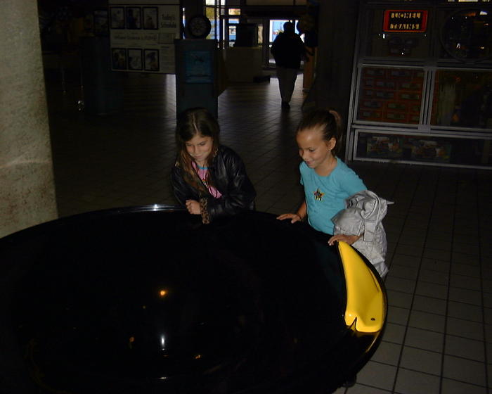 Ashlyn & Kayla, Heather's sisters