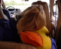 Christina's Duck