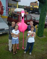 The group with flamingos