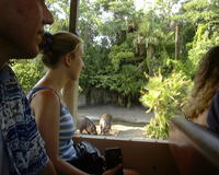 Glenn, Christina, and some hippos