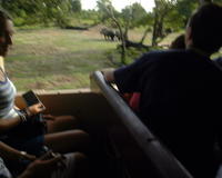 Some blurry rhinos with Christina, Mike, & Heather