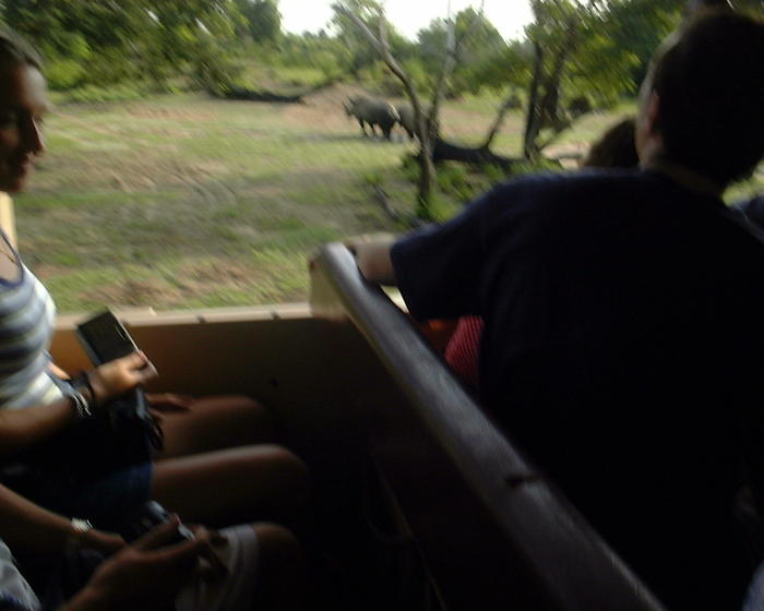 Some blurry rhinos with Christina, Mike, & Heather