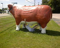 Goose under "Baby Bull"