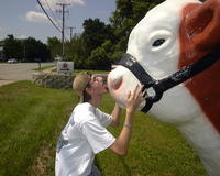 Goose kissing "Baby Bull"
