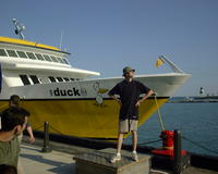 A silly Goose (Navy Pier)
