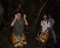 buggy Roland, Jarrett, Brian