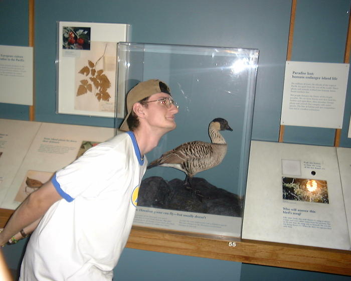 Goose!