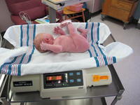 8 pounds 0.6 ounces