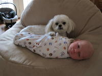 IMG_0855.JPG