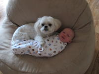 IMG_0859.JPG