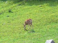 IMG_2041.JPG