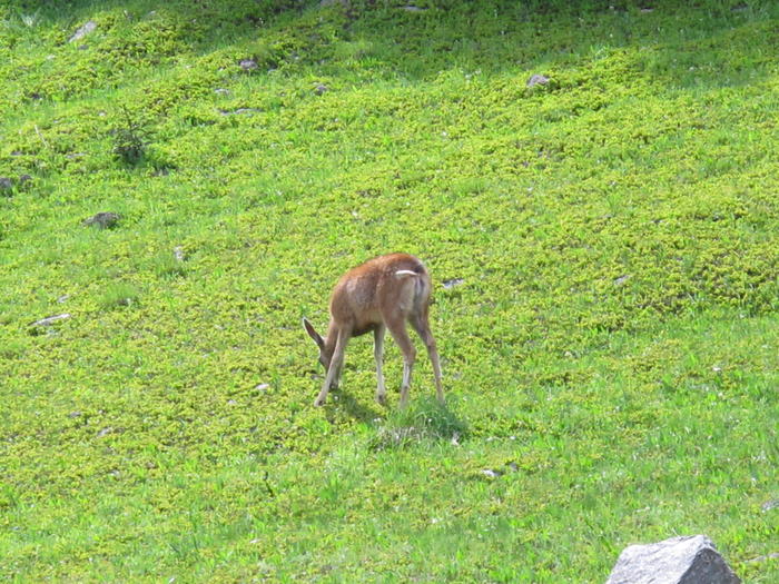 IMG_2041.JPG