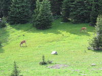 IMG_2042.JPG
