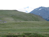 IMG_2102.JPG