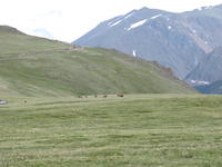 IMG_2104.JPG