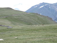 IMG_2105.JPG