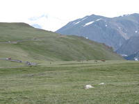 IMG_2106.JPG