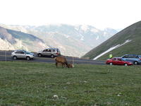 IMG_2110.JPG