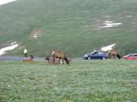 IMG_2111.JPG