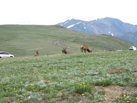 IMG_2112.JPG