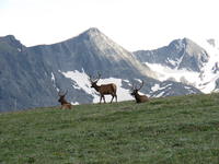 IMG_2114.JPG