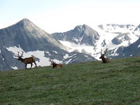 IMG_2116.JPG