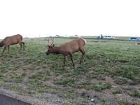 IMG_2117.JPG