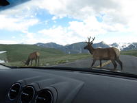 IMG_2119.JPG
